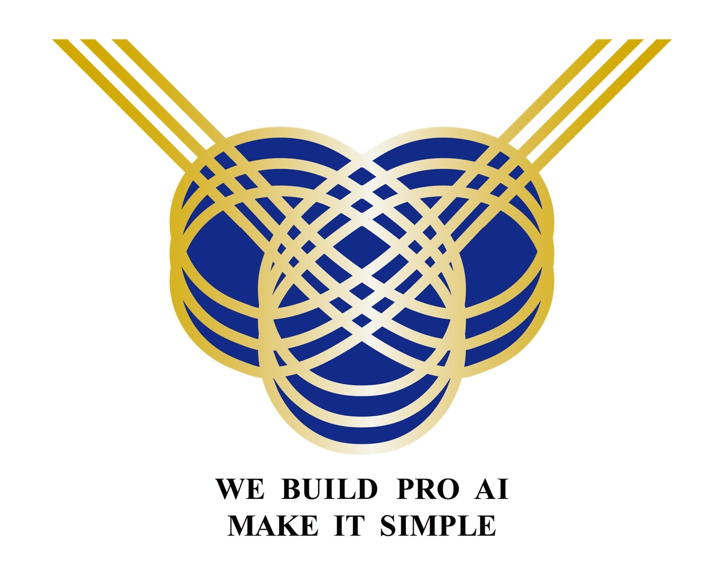 Webuildproai Logo